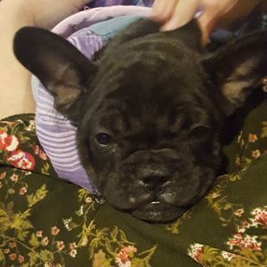 Meet your Posher, Seth